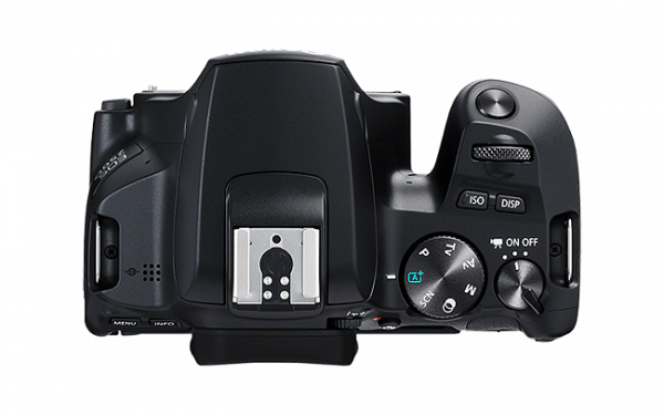 Canon EOS 250D + Objectif EF-S 18-55 mm – Image 2