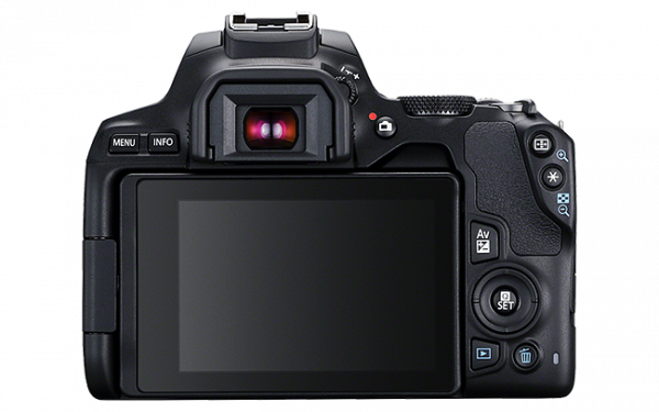 Canon EOS 250D + Objectif EF-S 18-55 mm – Image 3