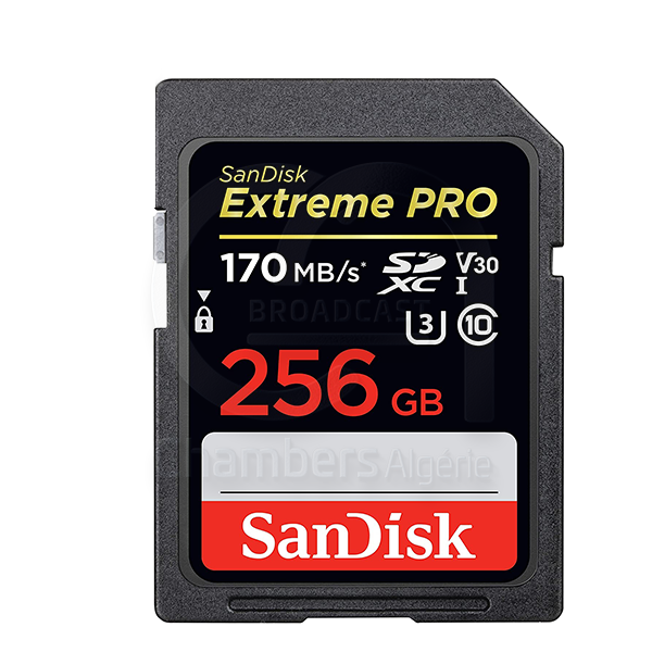 Carte mémoire SDXC SanDisk Extreme PRO 256 Go jusqu'à 170 Mo/s – Image 5